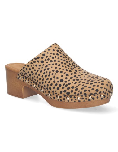 DB-2258-Leopardo